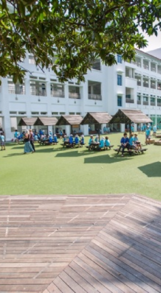 http://thai.dev.uwcstaging.co.uk/wp-content/uploads/sites/45/2024/12/timeline-3-1.png
